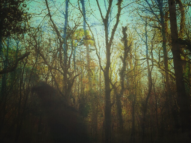 Trying out the Blend app for a friend.