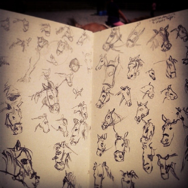 8/365. Page of horse heads. Drawn during Second Eldests riding lesson. http://instagram.com/p/pOYdMiny5n/