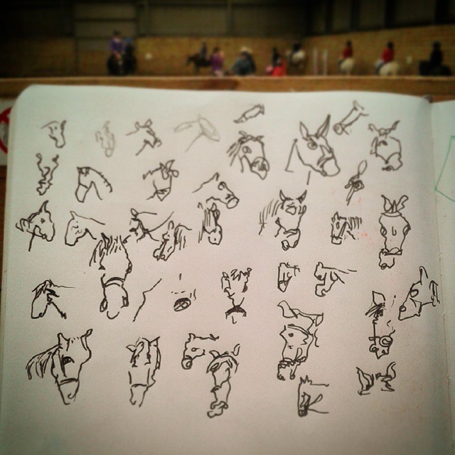 73/364 Heads of moving horses, drawn without looking. Straight to V-ball. Notebook: Ethel https://instagram.com/p/tuokIGnyw9/