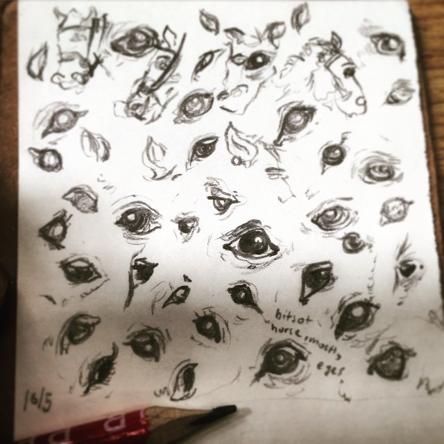 79/365 Back after a long break (bean busy see blog for explanation). Bits of horse, mostly eyes. Clevedon Riding Centre, whilst Second Youngest takes a lesson. Pencil. Notebook: Artemis. https://instagram.com/p/2va8tSny8S/