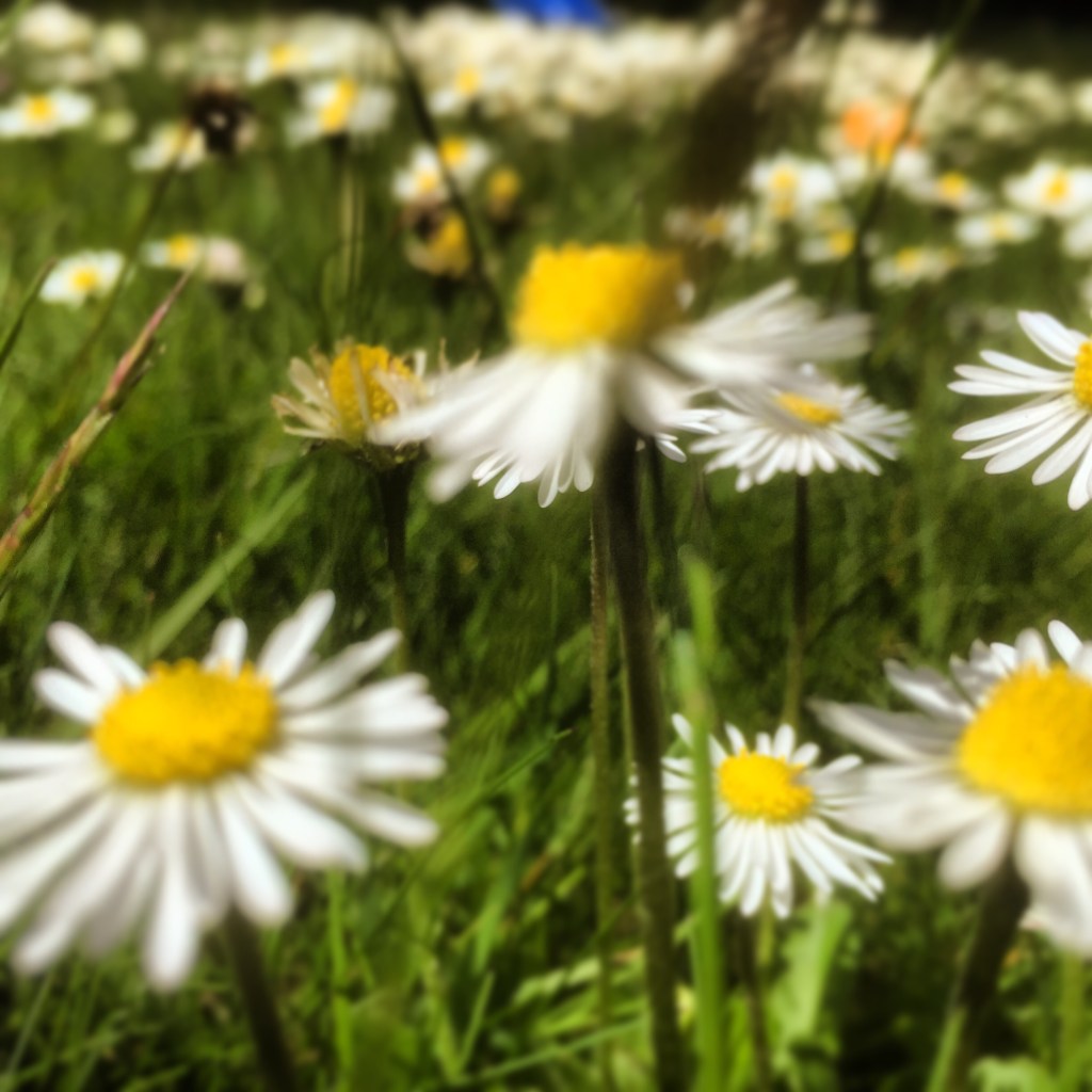 outside time. https://instagram.com/p/2n1Cu5ny9w/