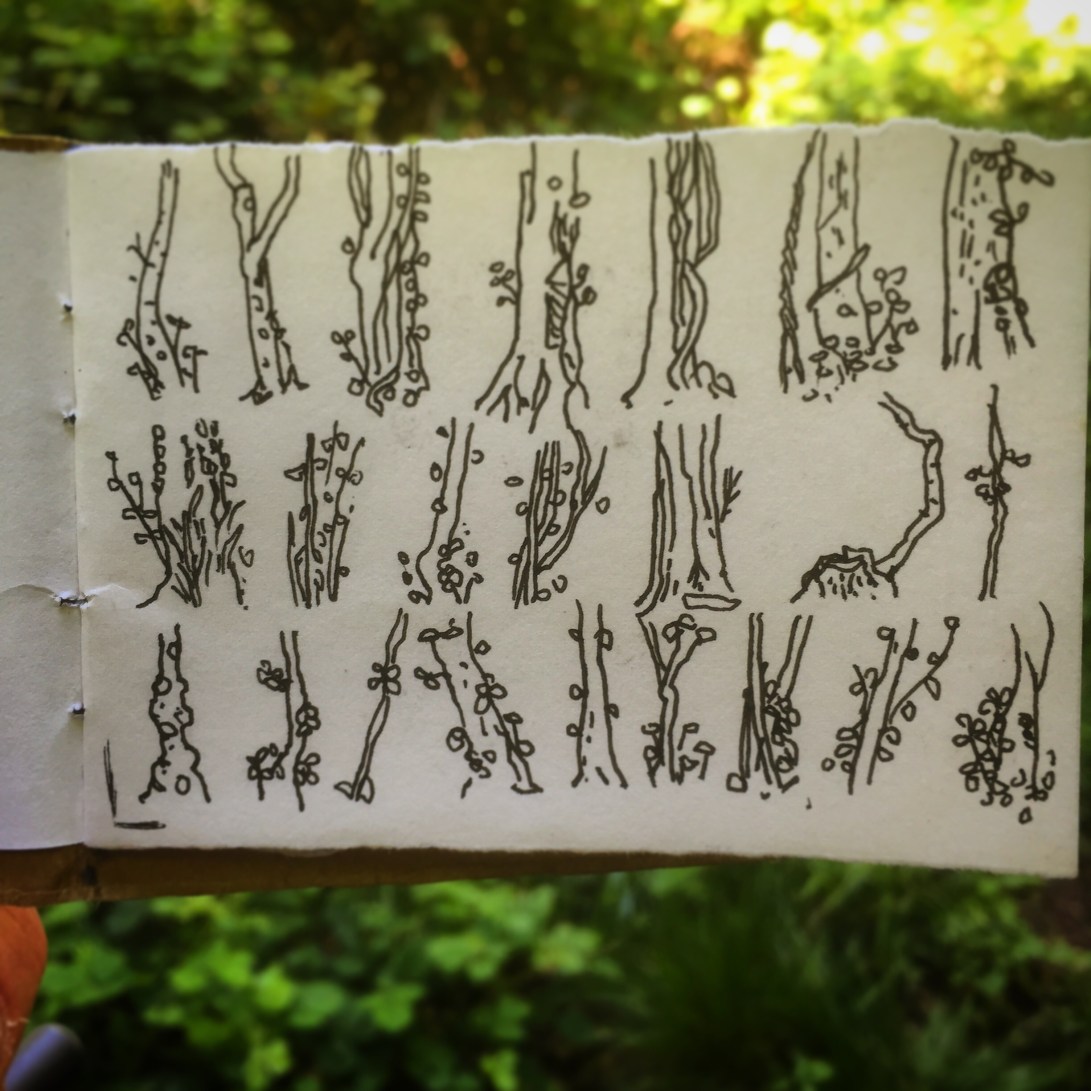 84/365 Tree stumps drawn on the slow move in Leigh Woods. Pen Notebook: Artemis