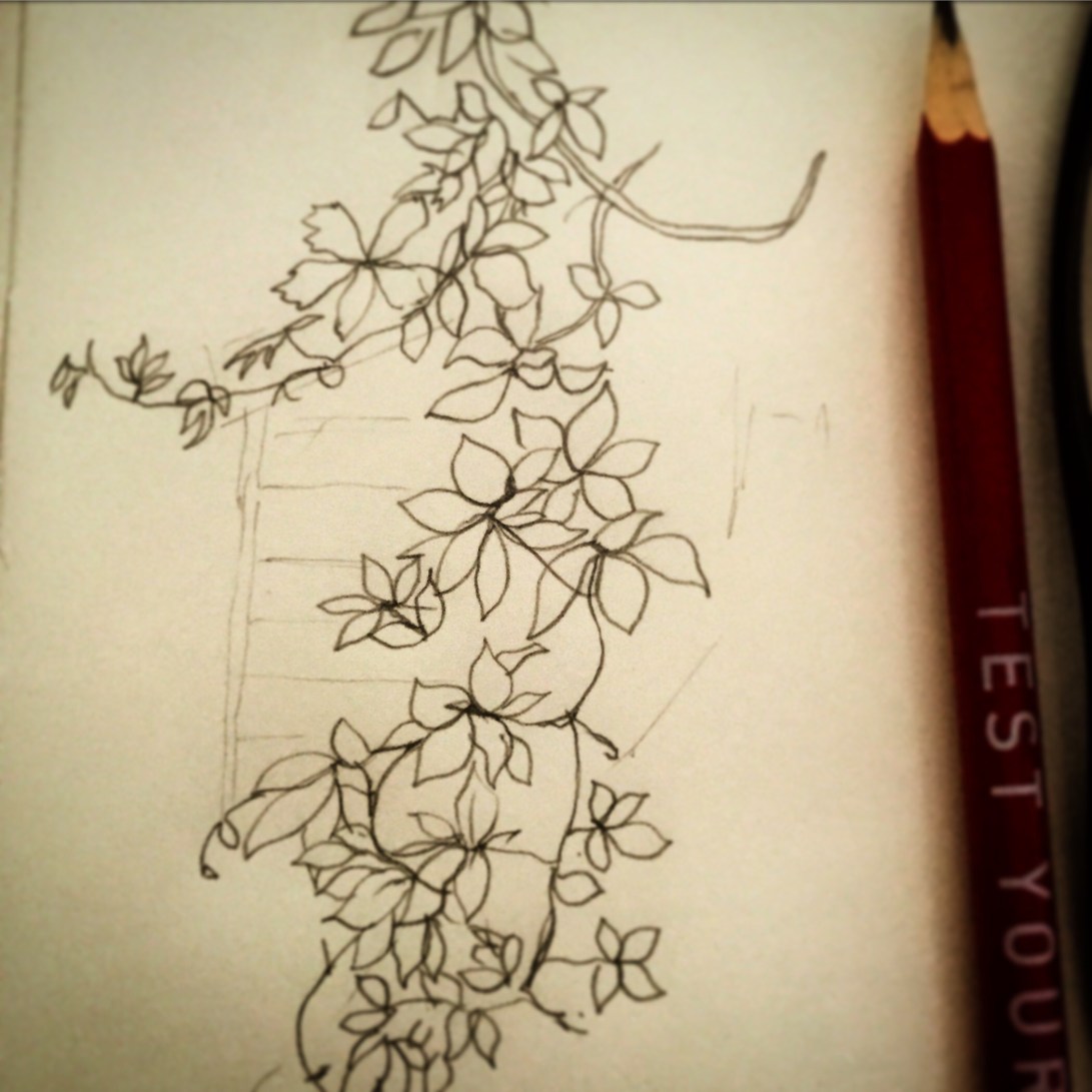 86/365 Hanging branch of Russian Vine with a hint of shed. Pencil. Notebook: Ethel