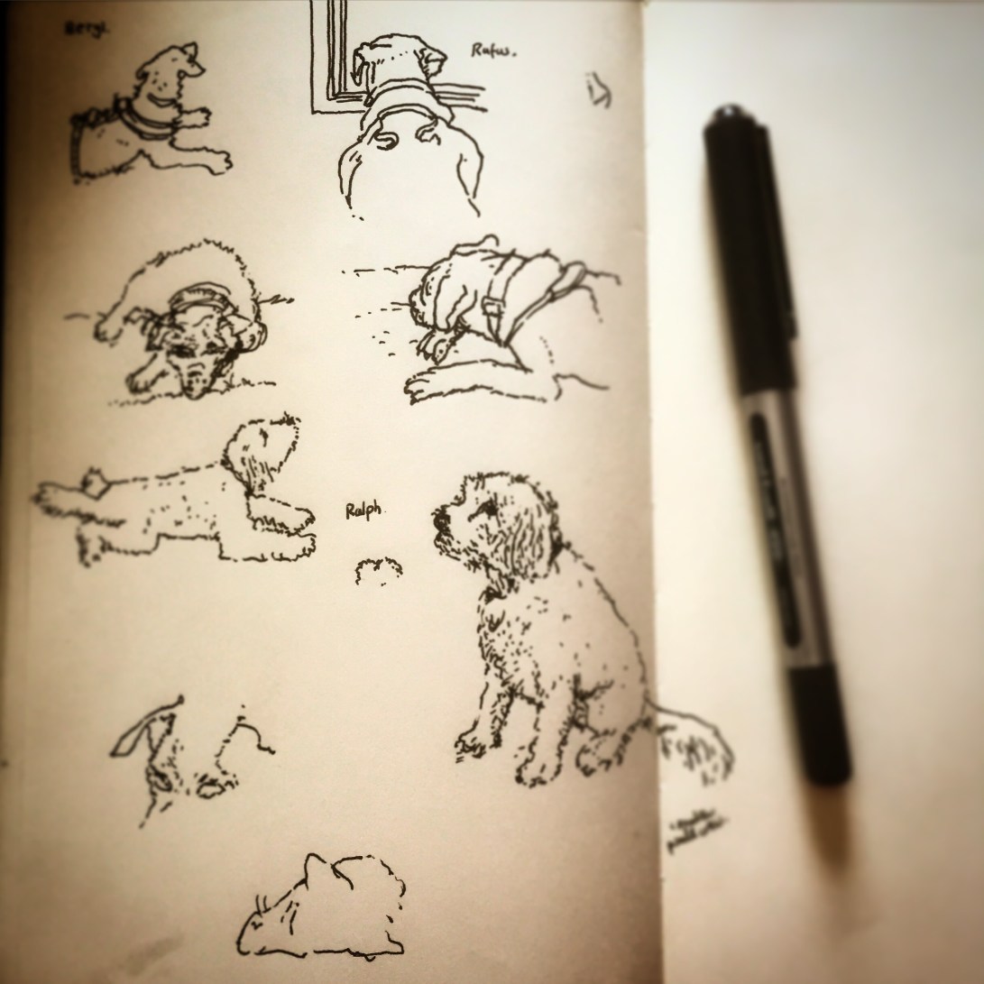 87/365 It was Three Dog Friday at BDH towers today. Beryl, Rufus and Ralph. Patterdale Terrier, Boxer and Cavalier Poodle Cross respectively. Some cubist elements due to constant movement. Uniball Micro. Notebook: Ethel.