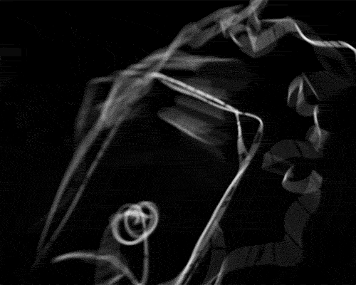 tumblr_m9zr8exrP61qz98euo1_r1_500