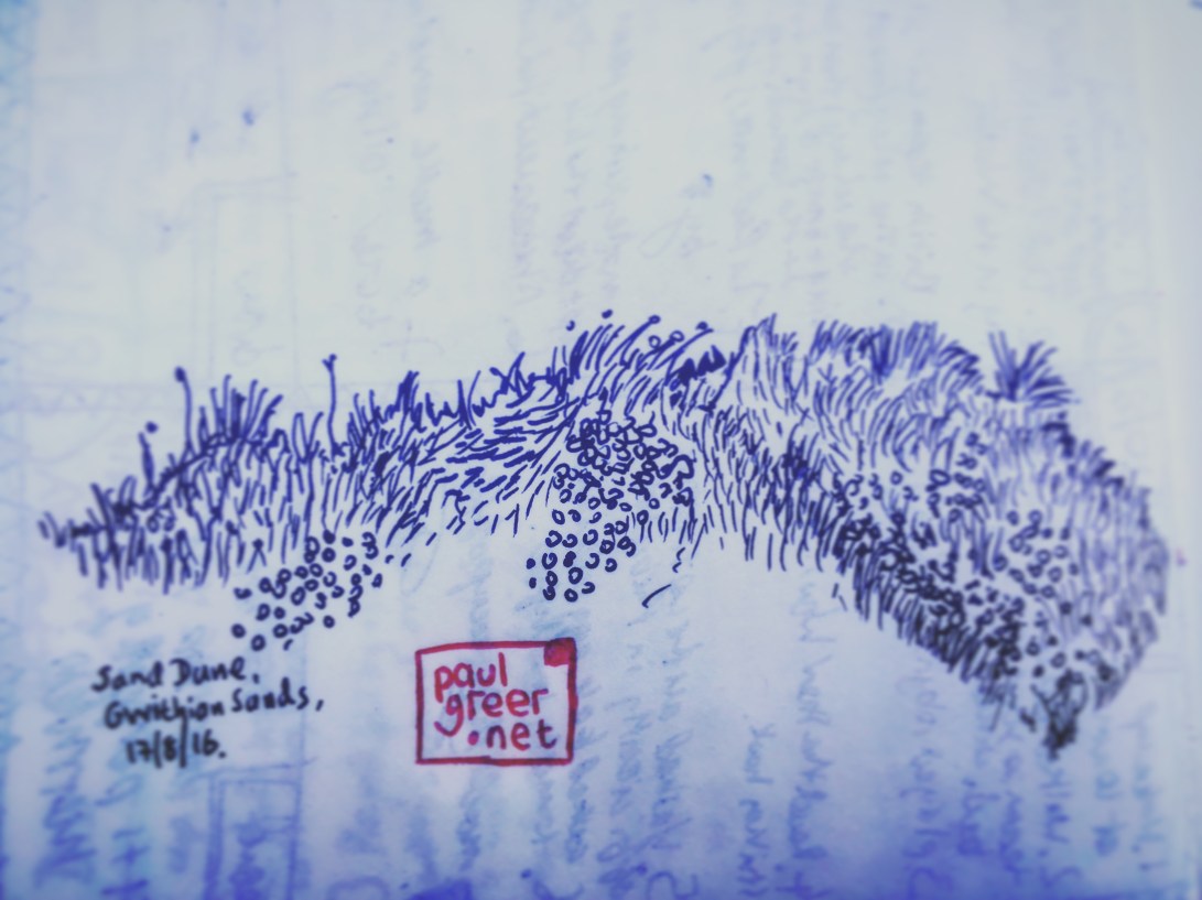 157/365 Sand dyne, Gwithian Sands. 17/08/16