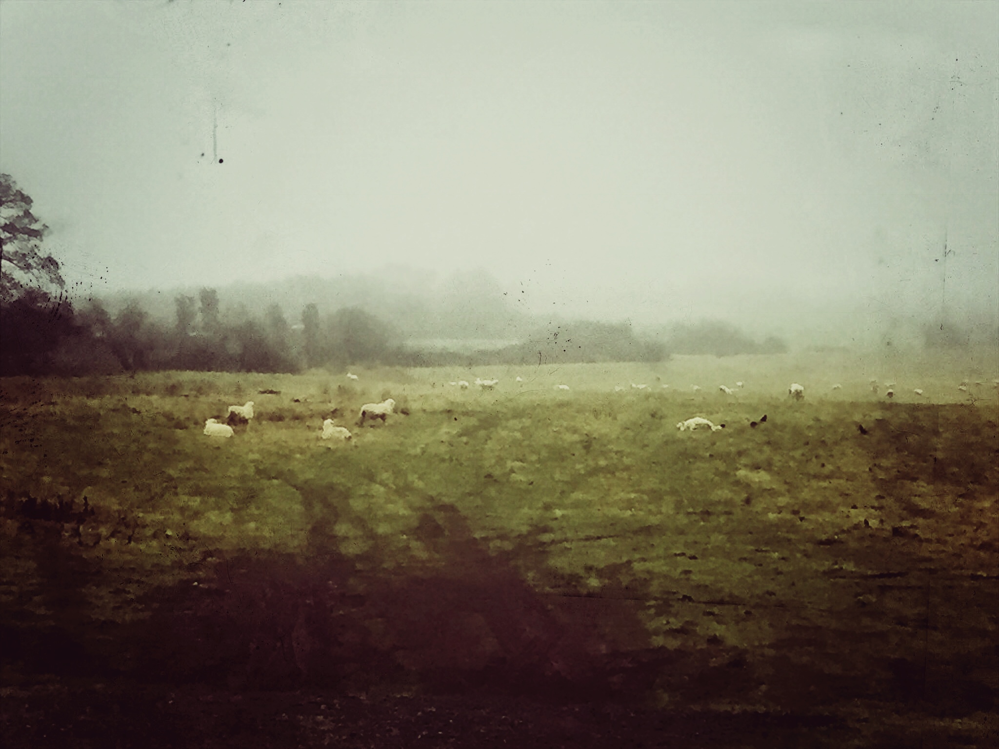 Church of SS Quiricus &amp; Julietta