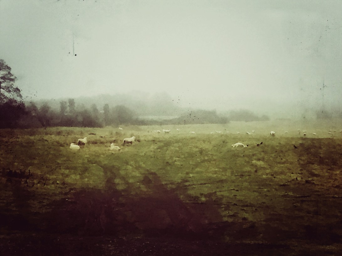 Church of SS Quiricus &amp; Julietta