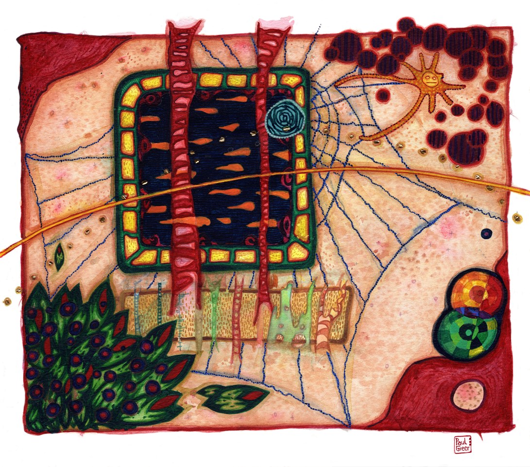 SpinSpidalFishTV_01_2k