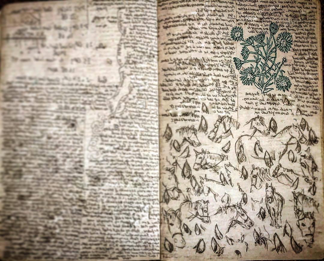 burningfpNotebook Ethel, Spread Nineteen. Horse drawings, daises, diary notes (text obscured). 📓 🐴 🌷