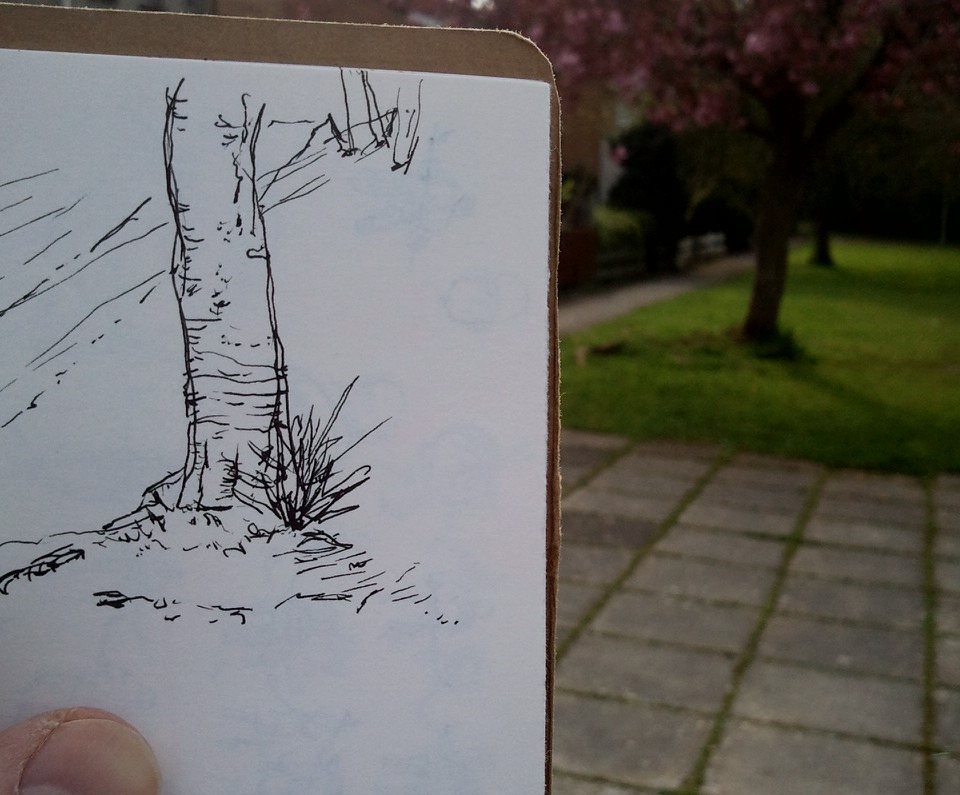 30 second tree trunk