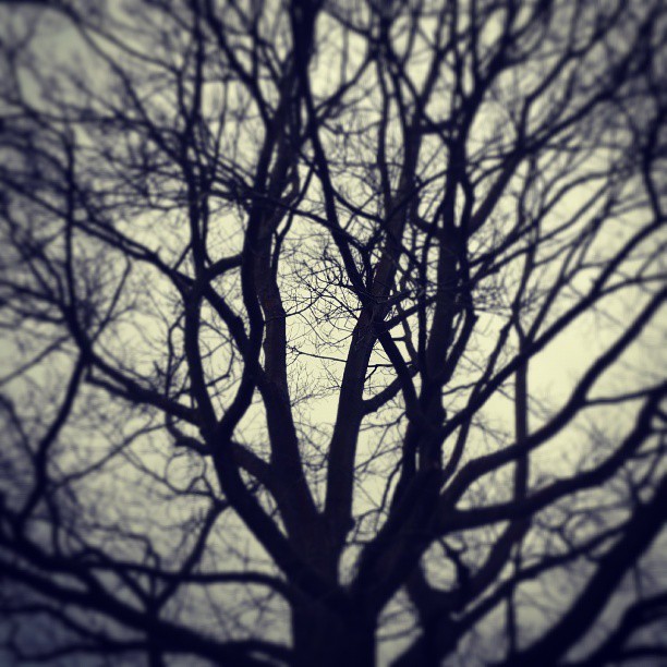 (at Blaise Castle Estate)